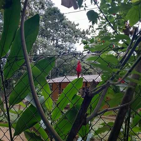 Sitio Das Bromelias Cachoeira Do Tombador Ubatuba Exterior photo
