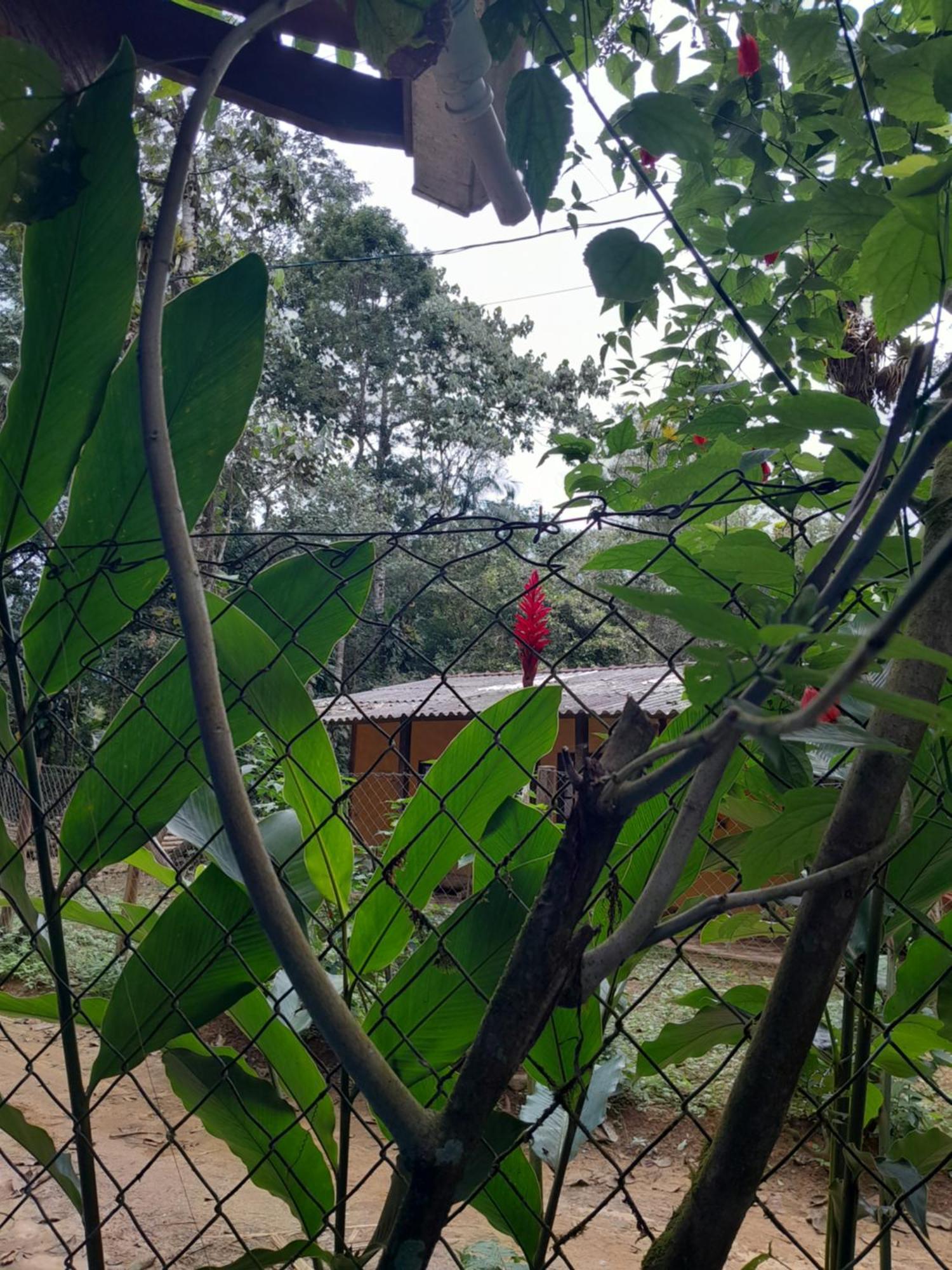 Sitio Das Bromelias Cachoeira Do Tombador Ubatuba Exterior photo